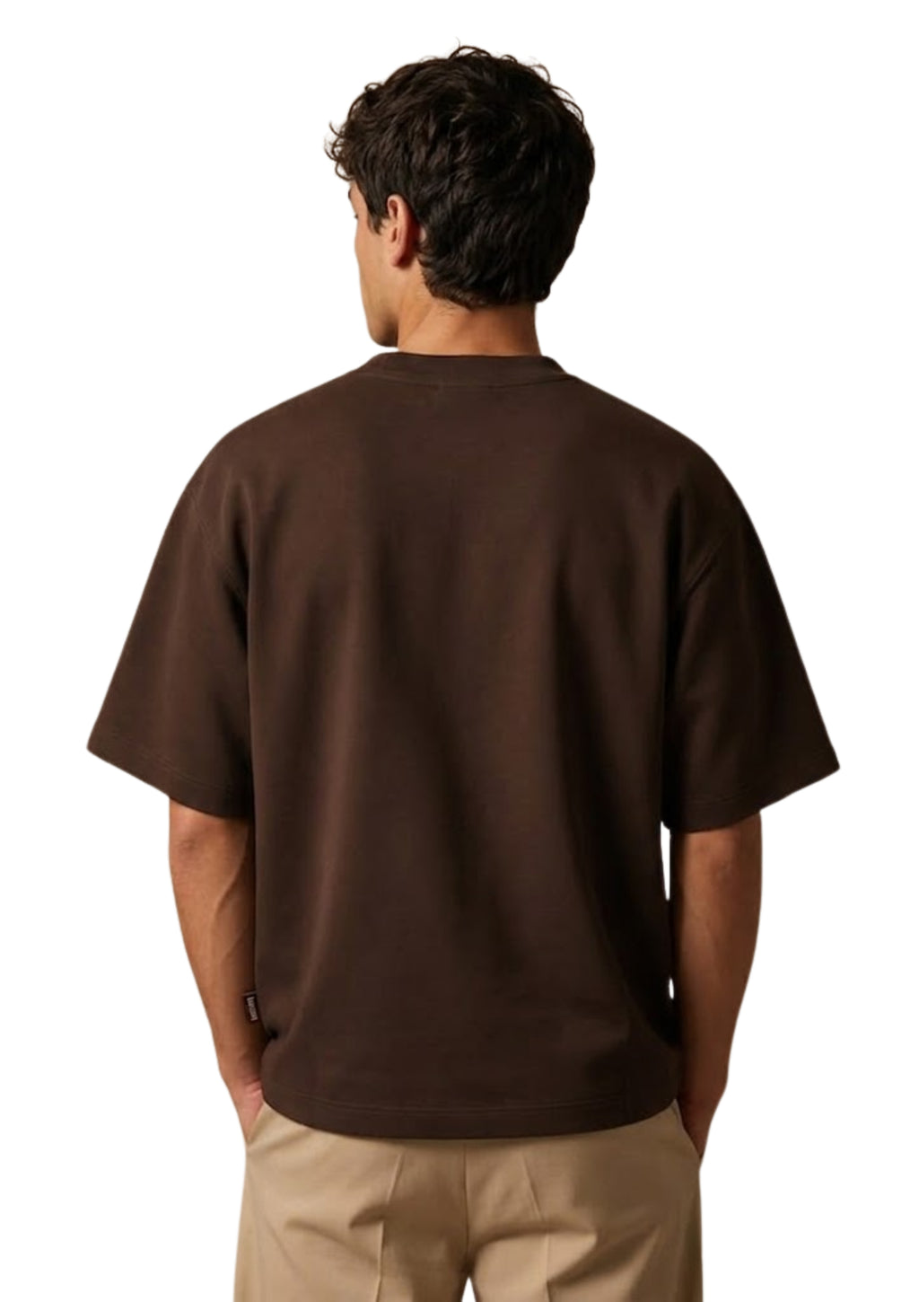 Brown Shivaay T-shirt